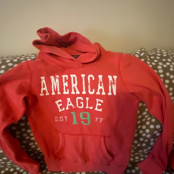 American Eagle Outfitters Other - Hoodie
